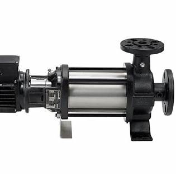 Grundfos Grundfos Horizontal Centrifugal Water Pump